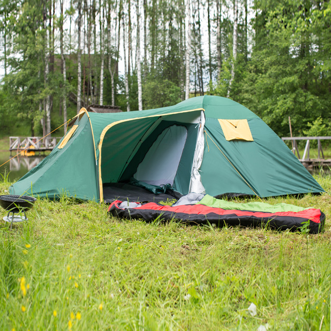 Telgid Telgid