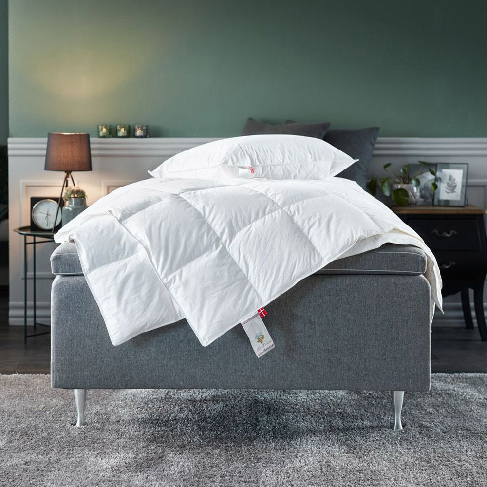 ANEMONE WARM tekk