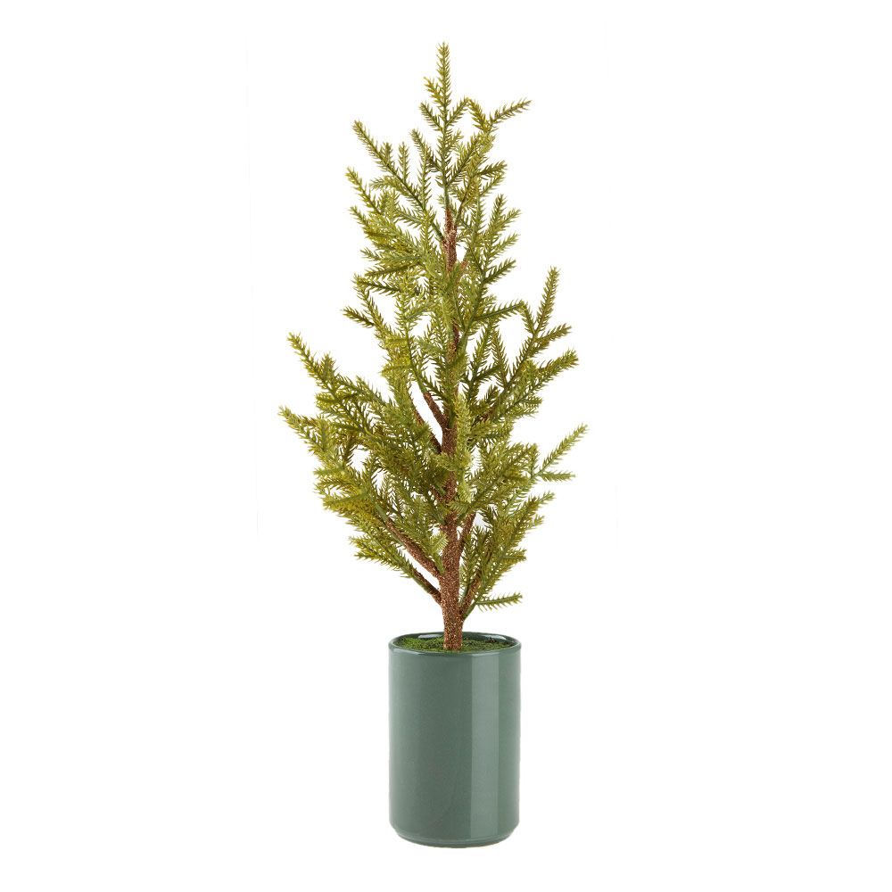 TUGTUPIT jõulukuusk potis 48cm