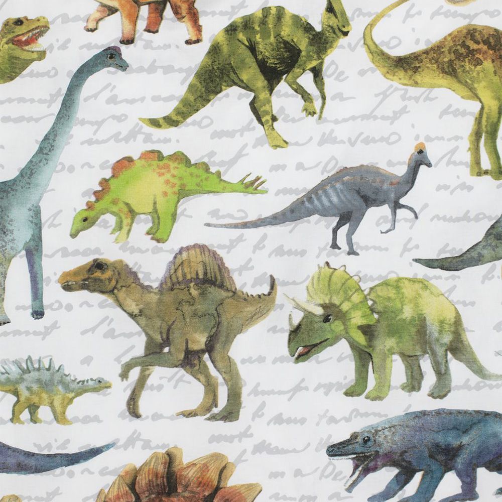 DINO voodipesu komplekt