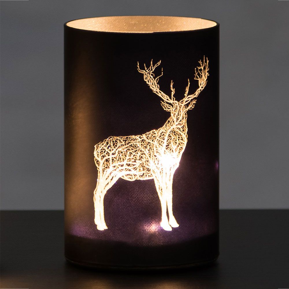RAUDEGGI 10 LED dekoratsioon