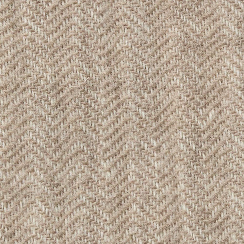 BRUNIA pleed