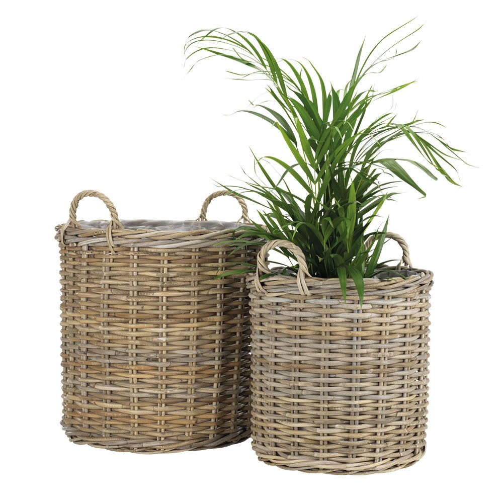 SANSEBIE lillepottide komplekt