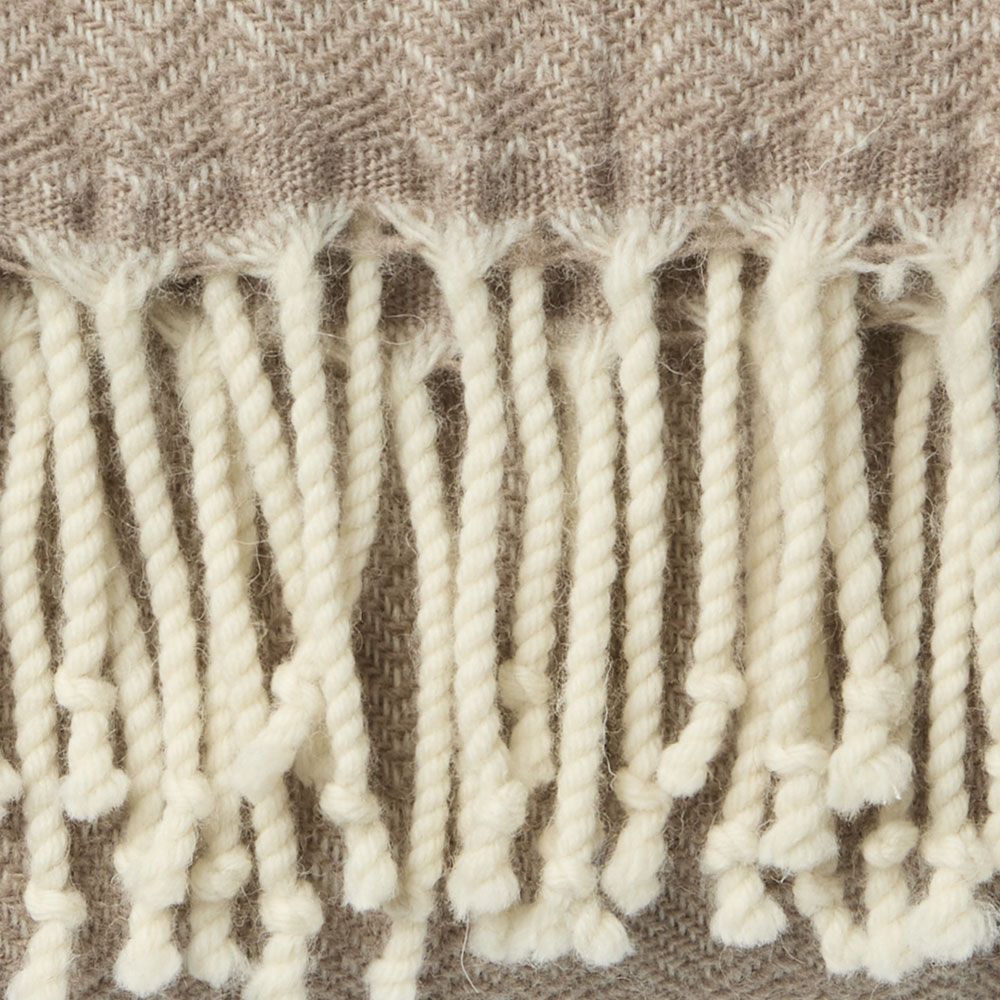 BRUNIA pleed