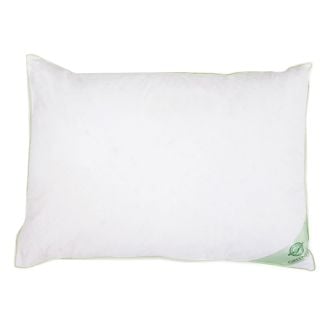 GREENFIRST padi