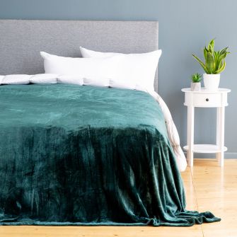 BERGBY pleed