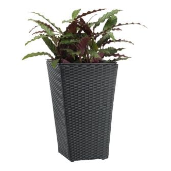 BLOMMOR lillepott