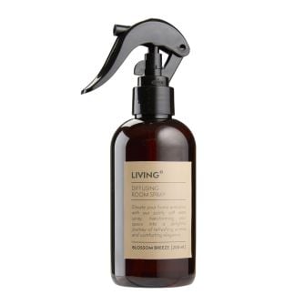 FERGUS õhuvärskendaja õite tuul 200ml