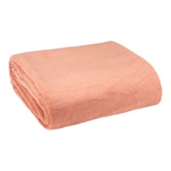 BELLIS pleed