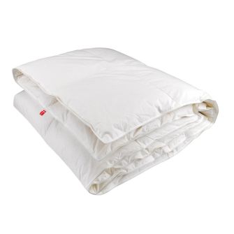 ANEMONE WARM tekk