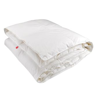 ANEMONE WARM tekk